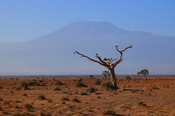 amboseli-kilimanjaro-kenya-tour-safari