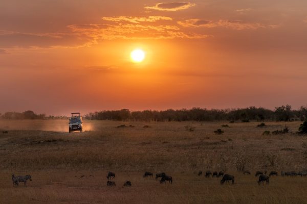 dusk-wilderness-safaris-kenya
