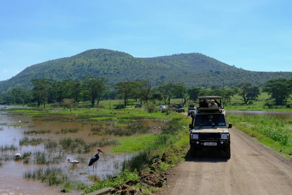 game-drive-lake-nakuru-kenya