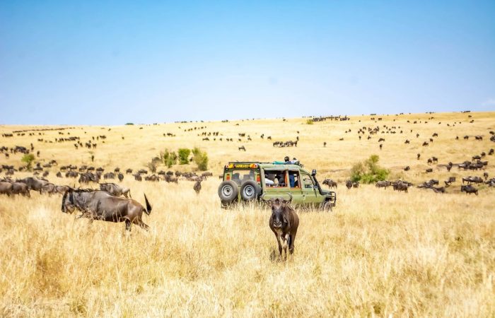 kenya-safari-tour-dusk-wilderness