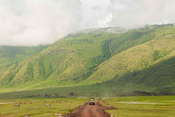 rift-vallery-magical-kenya--dusk-wilderness