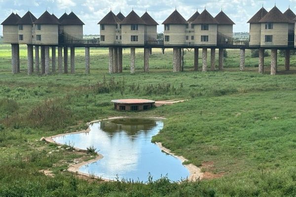 saltlick-lodge-taita-wildlife