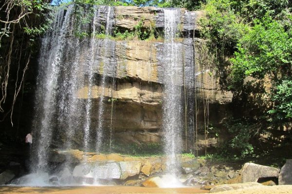 shedrick-water-fall-shimba-hills-coast-forest