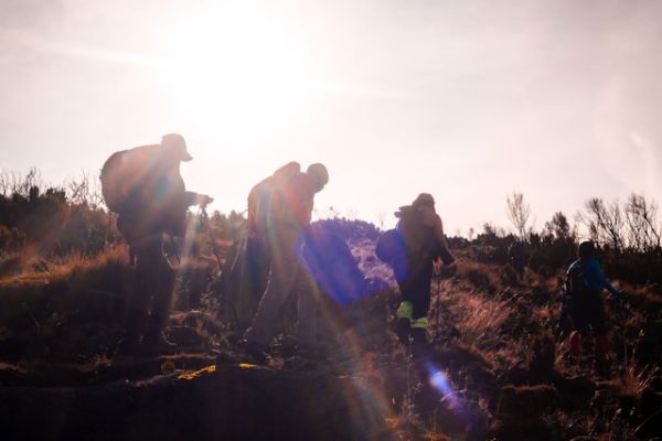 trekking-mount-kenya