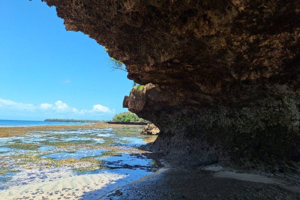 wasini-caves