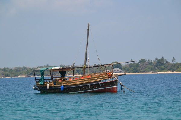 wasini-dolphin-tours-boat-ride